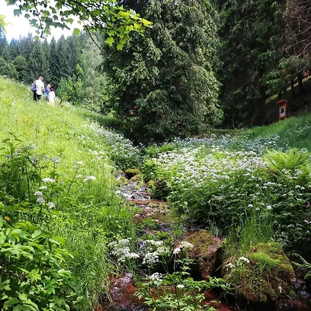 Steinbach Nahe Skihalle Oberhof * Kurort Steinbach-Hallenberg