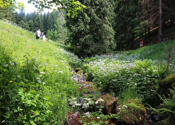 Steinbach Nahe Skihalle Oberhof * Kurort Steinbach-Hallenberg